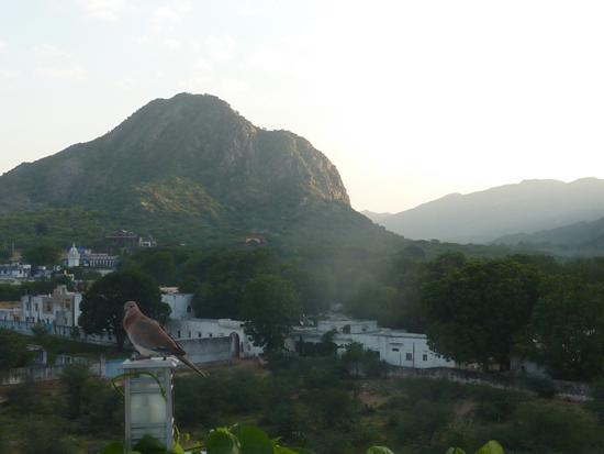 Dia Homestay Pushkar Exterior photo
